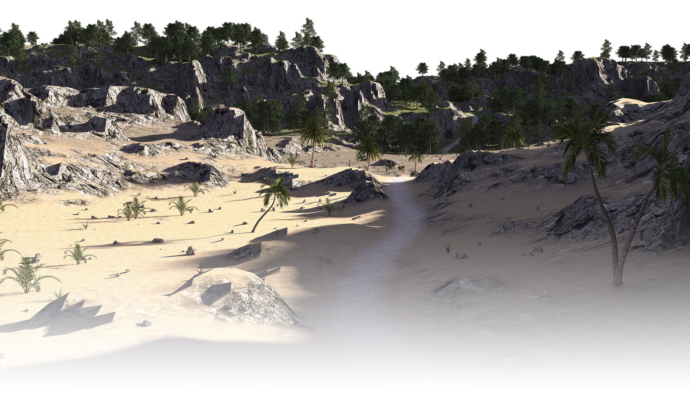 Background image of a desert leading into a forest